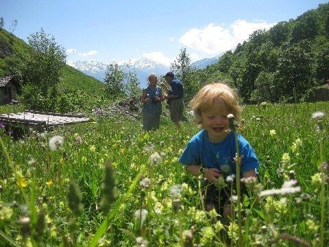 Chalet Tarine Villa Bourg-Saint-Maurice Dış mekan fotoğraf